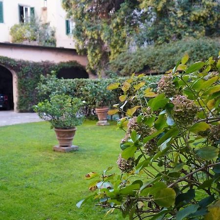 Apartmán Loft Moderno Ubicato Nel Centro Storico Di Lucca Exteriér fotografie
